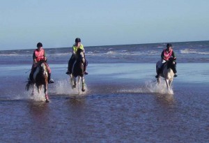 South Padre Island Horse Riding